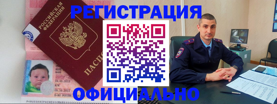 прописка поиск в Кольчугино