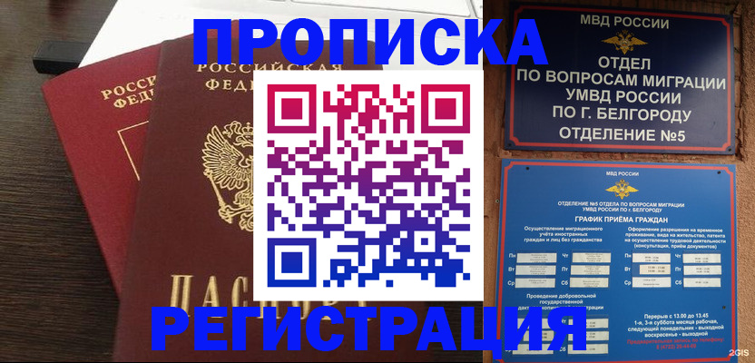 прописка для школы в Кольчугино